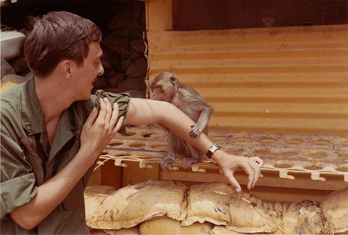 3854212594_88889d2f98