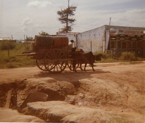 3867586008_1dfc3f0baa