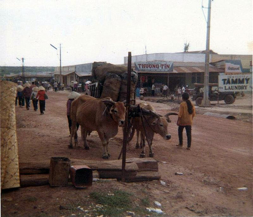 3869655136_d822db29f4