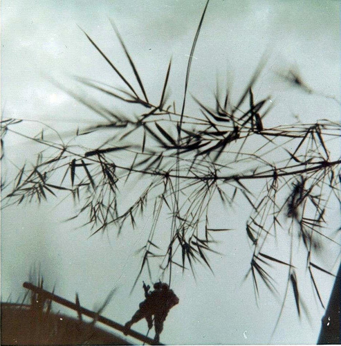 3914839923_79c9189aaa