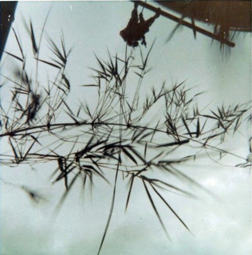 3954902333_bf7e993d8c_o